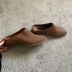 Brand new Steve Madden shoes never worn!